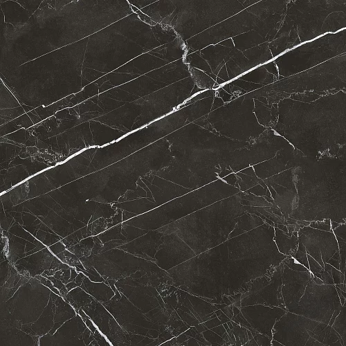 Фото Керамогранит матовый Steppe Ceramics Royal Black черный 600*600*9,5 – купить в Воронеже: цена, описание, фото. Интернет-магазин 3