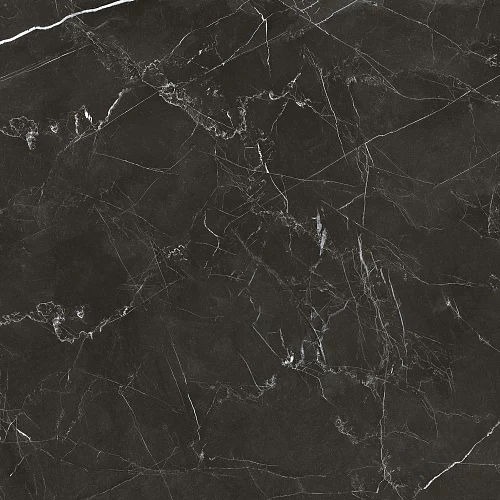 Фото Керамогранит матовый Steppe Ceramics Royal Black черный 600*600*9,5 – купить в Воронеже: цена, описание, фото. Интернет-магазин 4
