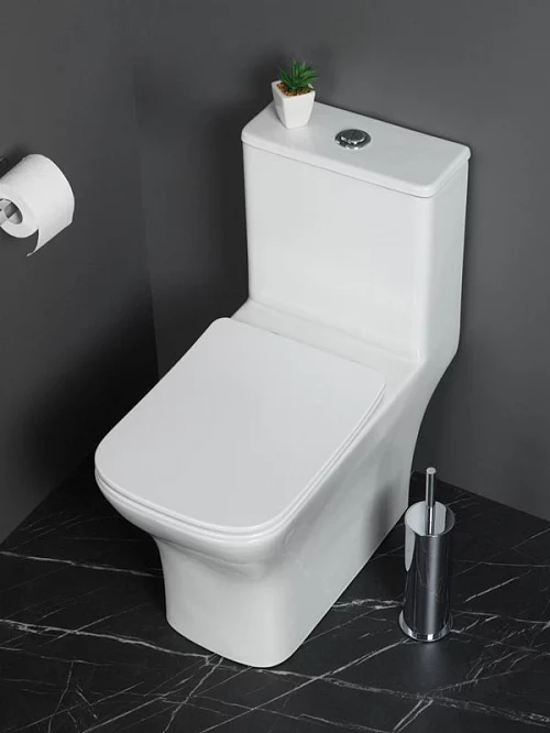 Фото Унитаз моноблок BelBagno Neon BB8617CPR-MN/SC безободковый купить в Воронеже: цена, описание, фото. Интернет-магазин 1