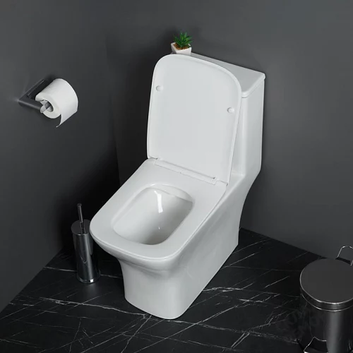 Фото Унитаз моноблок BelBagno Neon BB8617CPR-MN/SC безободковый купить в Воронеже: цена, описание, фото. Интернет-магазин 2