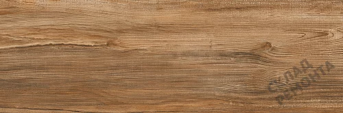 Фото Керамогранит матовый Lasselsberger Ипанема 6264-0011 (структурный) коричневый 200*600*8,5 – купить в Воронеже: цена, описание, фото. Интернет-магазин 3